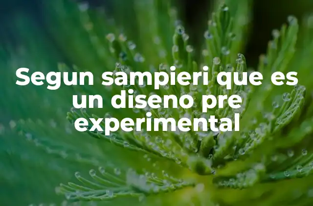 Segun Sampieri que es un Diseno Pre Experimental