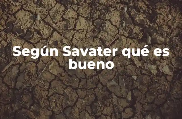 Según Savater Qué es Bueno