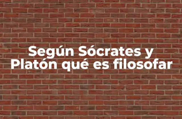 Según Sócrates y Platón Qué es Filosofar