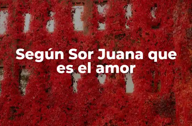 Según Sor Juana que es el Amor