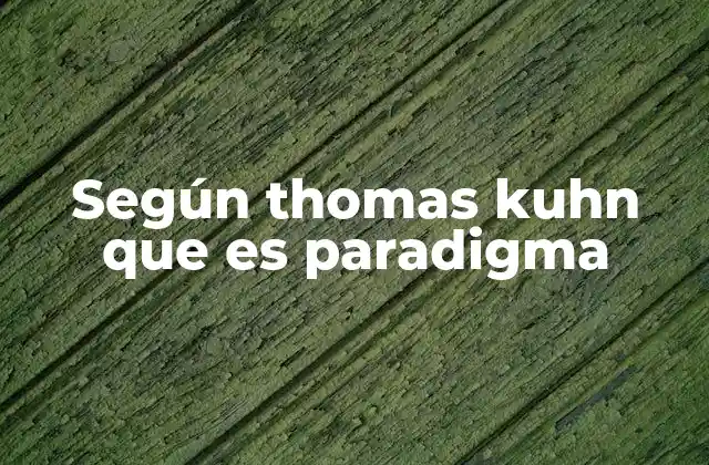Según Thomas Kuhn que es Paradigma