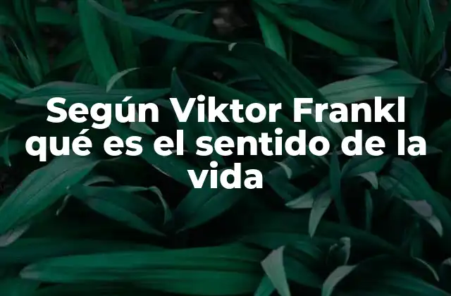 La búsqueda del sentido como motor de la existencia humana