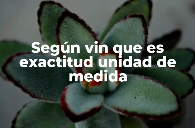 Según Vin que es Exactitud Unidad de Medida
