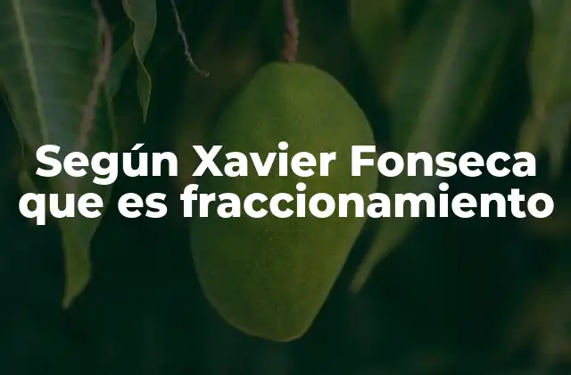 La importancia del fraccionamiento en la vida financiera