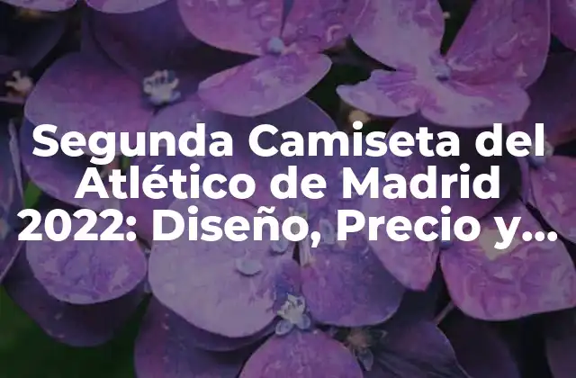 Segunda Camiseta Del Atlético de Madrid 2022: Diseño, Precio y Más