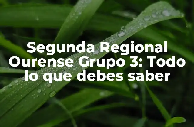Segunda Regional Ourense Grupo 3: Todo Lo que Debes Saber