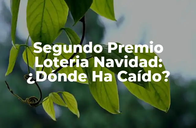 Historia del Segundo Premio Loteria Navidad