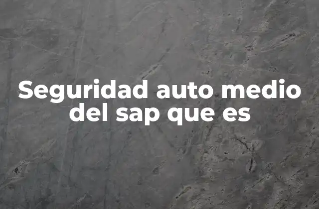 Seguridad Auto Medio Del Sap que es