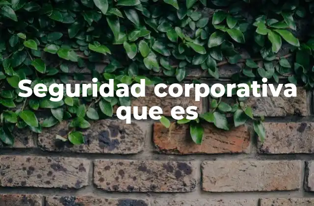Seguridad Corporativa que es