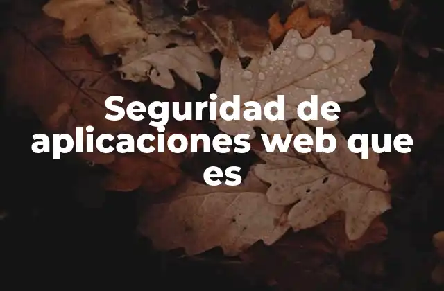 Seguridad de Aplicaciones Web que es