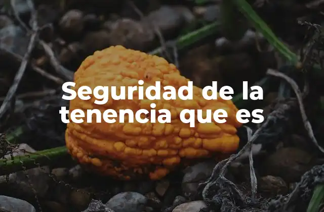 Seguridad de la Tenencia que es