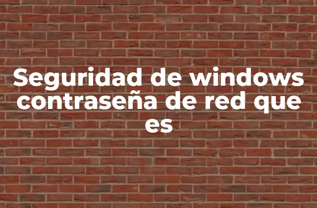 Seguridad de Windows Contraseña de Red que es