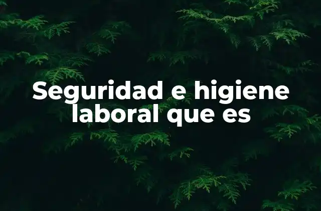 Seguridad e Higiene Laboral que es