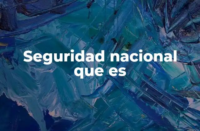 Seguridad Nacional que es