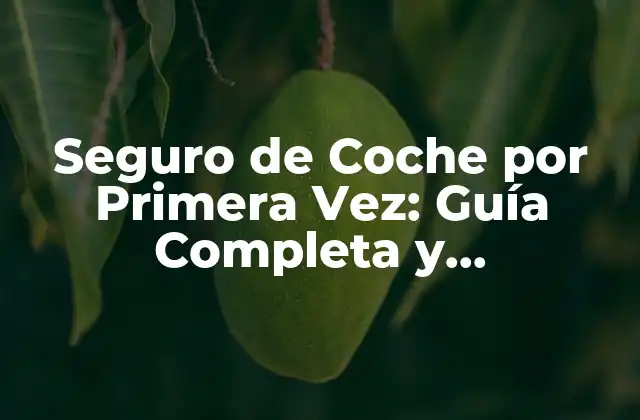 Seguro de Coche por Primera Vez: Guía Completa y Actualizada