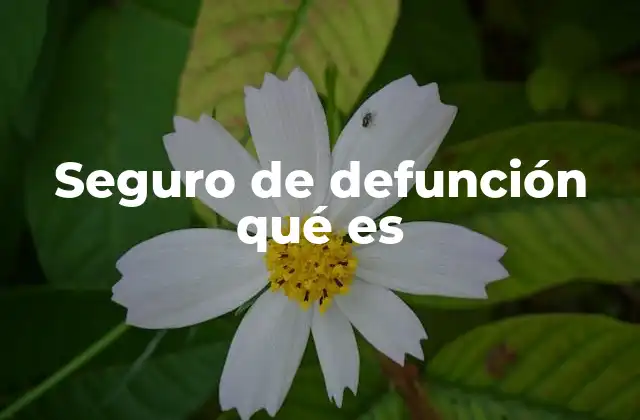 Seguro de Defunción Qué es