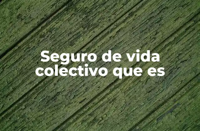 Seguro de Vida Colectivo que es
