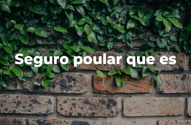 Seguro Poular que es