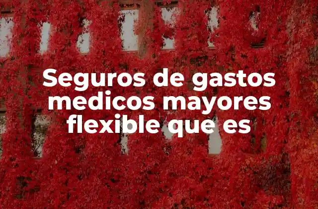 Seguros de Gastos Medicos Mayores Flexible que es