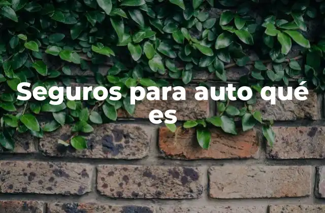 Seguros para Auto Qué es