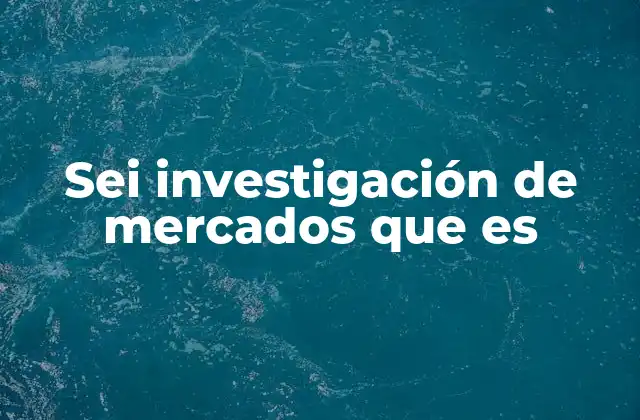 Sei Investigación de Mercados que es