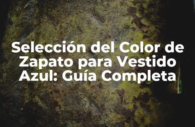 Selección Del Color de Zapato para Vestido Azul: Guía Completa