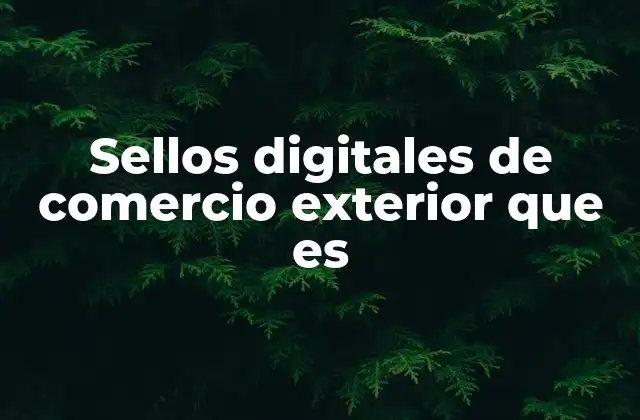 Sellos Digitales de Comercio Exterior que es
