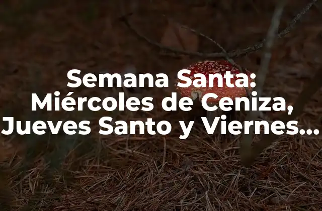 Semana Santa: Miércoles de Ceniza, Jueves Santo y Viernes Santo