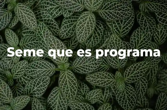 Seme que es Programa 2 El uso coloquial de frases similares a seme que es programa