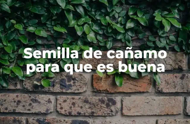 Beneficios de incluir la semilla de cañamo en tu dieta