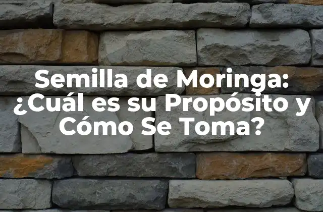 Semilla de Moringa: ¿cuál es Su Propósito y Cómo Se Toma?