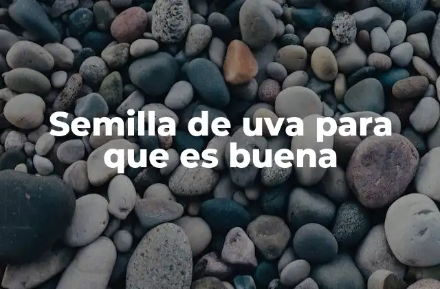 Semilla de Uva para que es Buena 2 Los beneficios ocultos de una parte del fruto que no se suele comer