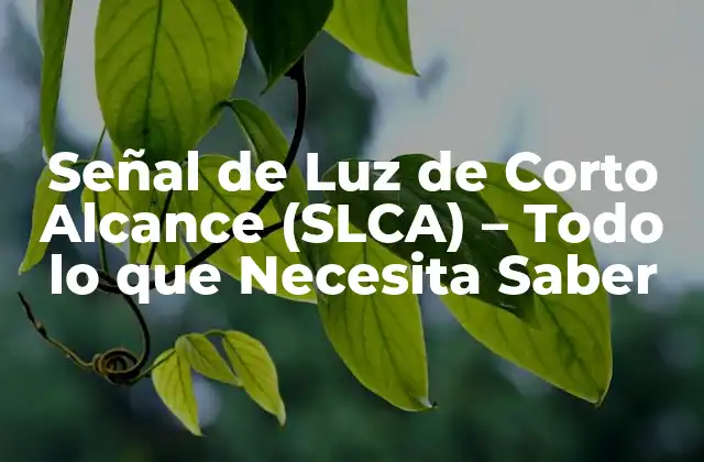 Señal de Luz de Corto Alcance (slca) – Todo Lo que Necesita Saber