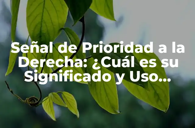 Señal de Prioridad a la Derecha: ¿cuál es Su Significado y Uso Correcto?