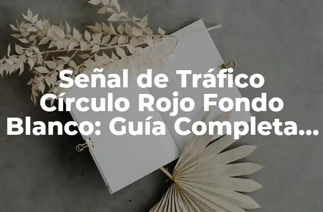 Señal de Tráfico Círculo Rojo Fondo Blanco: Guía Completa y Detallada