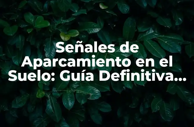 Señales de Aparcamiento en el Suelo: Guía Definitiva para un Estacionamiento Seguro y Eficaz