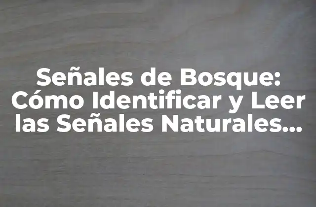 Señales de Bosque: Cómo Identificar y Leer las Señales Naturales Del Bosque