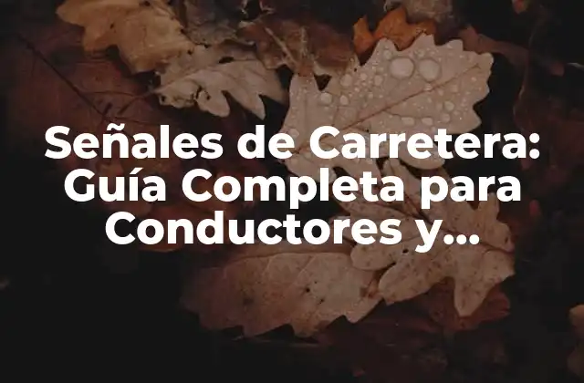 Señales de Carretera: Guía Completa para Conductores y Peatones 2 Tipos de Señales de Carretera