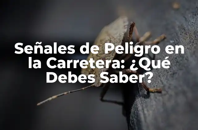 Señales de Peligro en la Carretera: ¿qué Debes Saber?