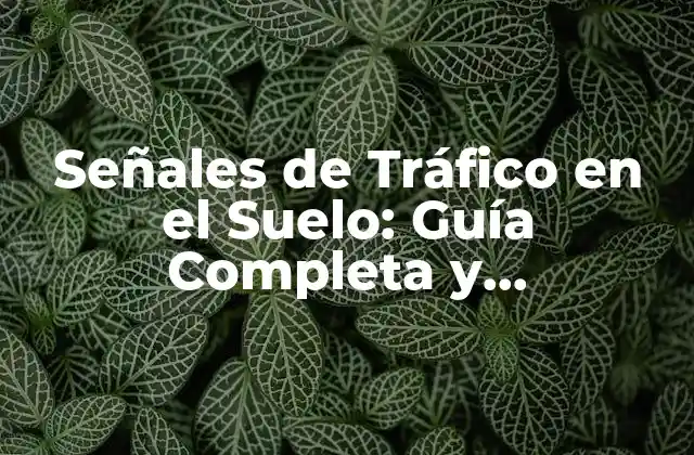 Señales de Tráfico en el Suelo: Guía Completa y Actualizada