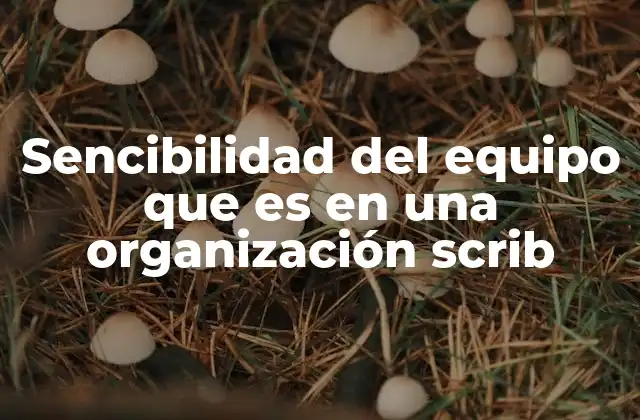 Sencibilidad Del Equipo que es en una Organización Scrib