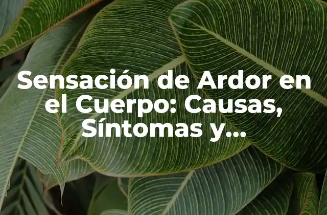 Sensación de Ardor en el Cuerpo: Causas, Síntomas y Tratamientos