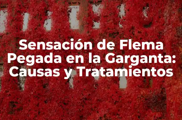 Sensación de Flema Pegada en la Garganta: Causas y Tratamientos