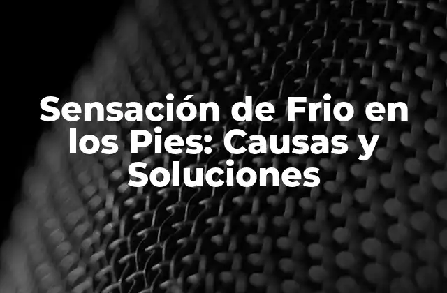 Sensación de Frio en los Pies: Causas y Soluciones 2 Causas de la Sensación de Frio en los Pies