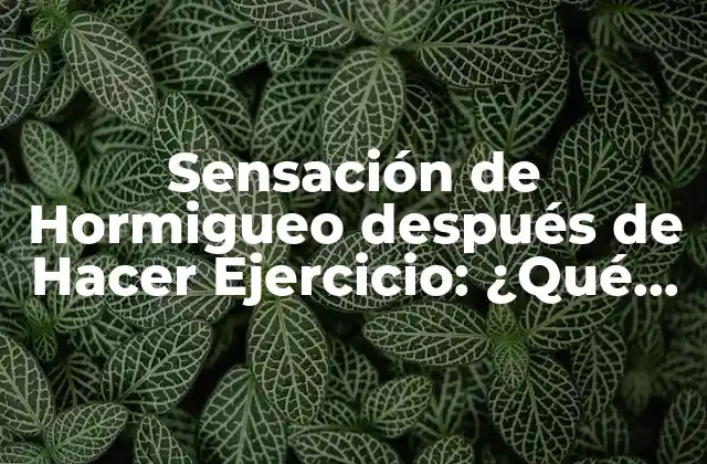 Sensación de Hormigueo Después de Hacer Ejercicio: ¿qué es y Cómo Tratarla?