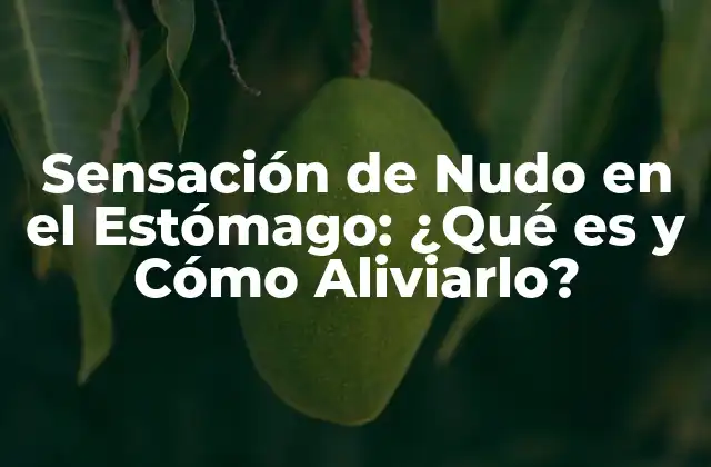 Sensación de Nudo en el Estómago: ¿qué es y Cómo Aliviarlo?