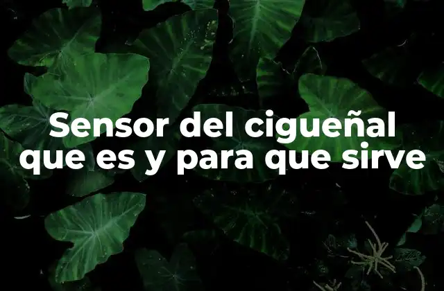 El papel del sensor del cigüeñal en el funcionamiento del motor