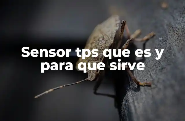 Sensor Tps que es y para que Sirve