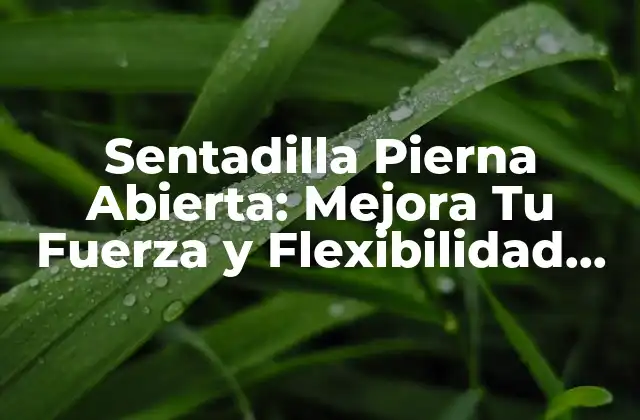 Sentadilla Pierna Abierta: Mejora Tu Fuerza y Flexibilidad con Este Ejercicio