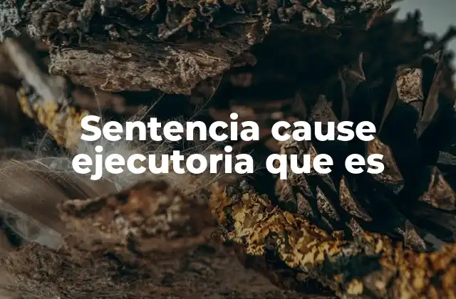 Sentencia Cause Ejecutoria que es